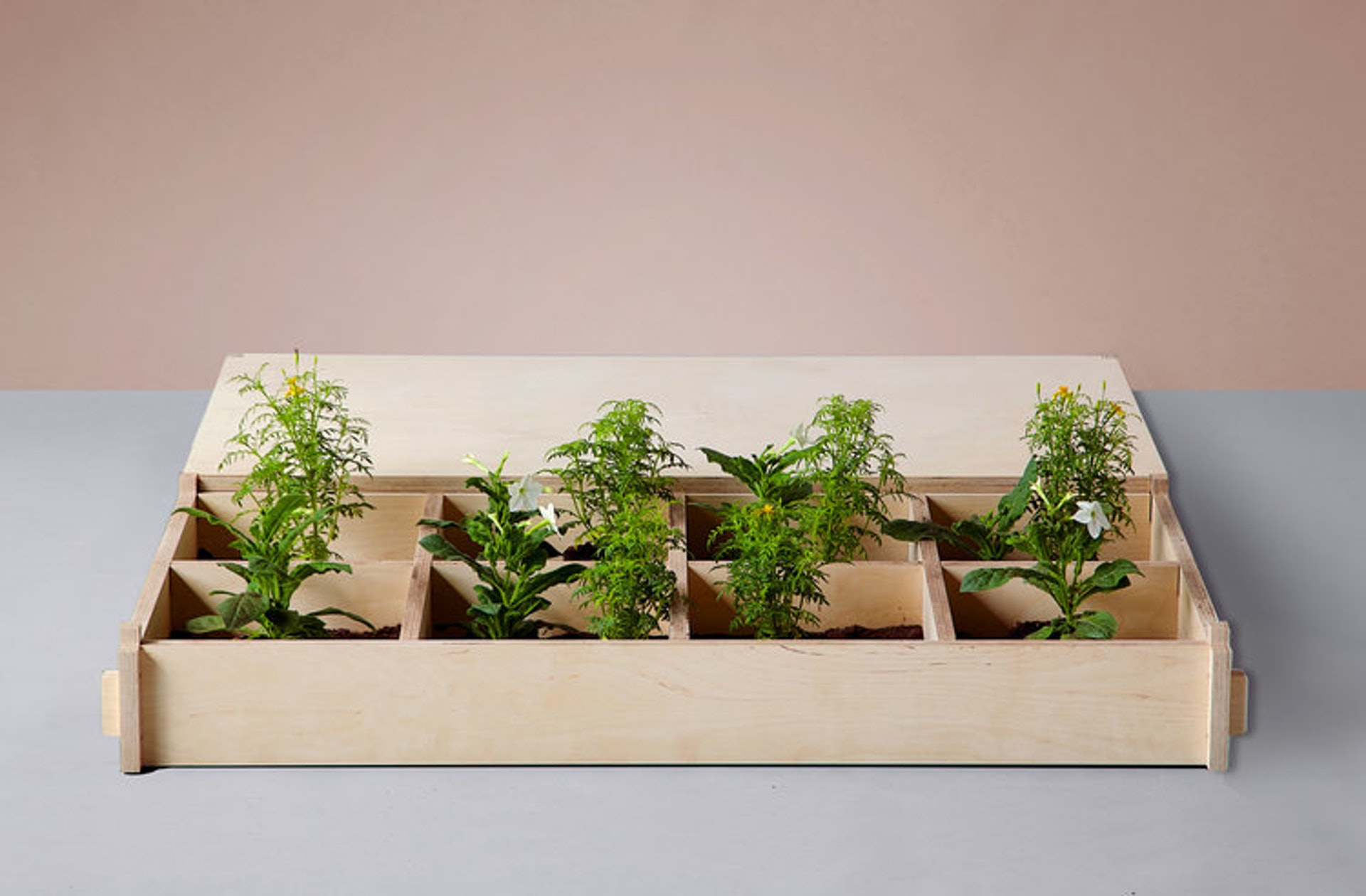 Home furniture，product design，Table，chair，Pot picking，