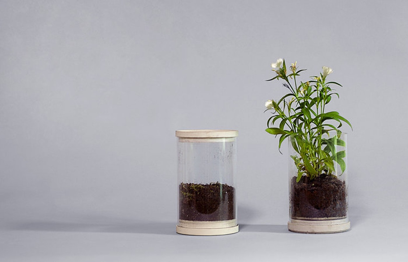 Home furniture，product design，Table，chair，Pot picking，