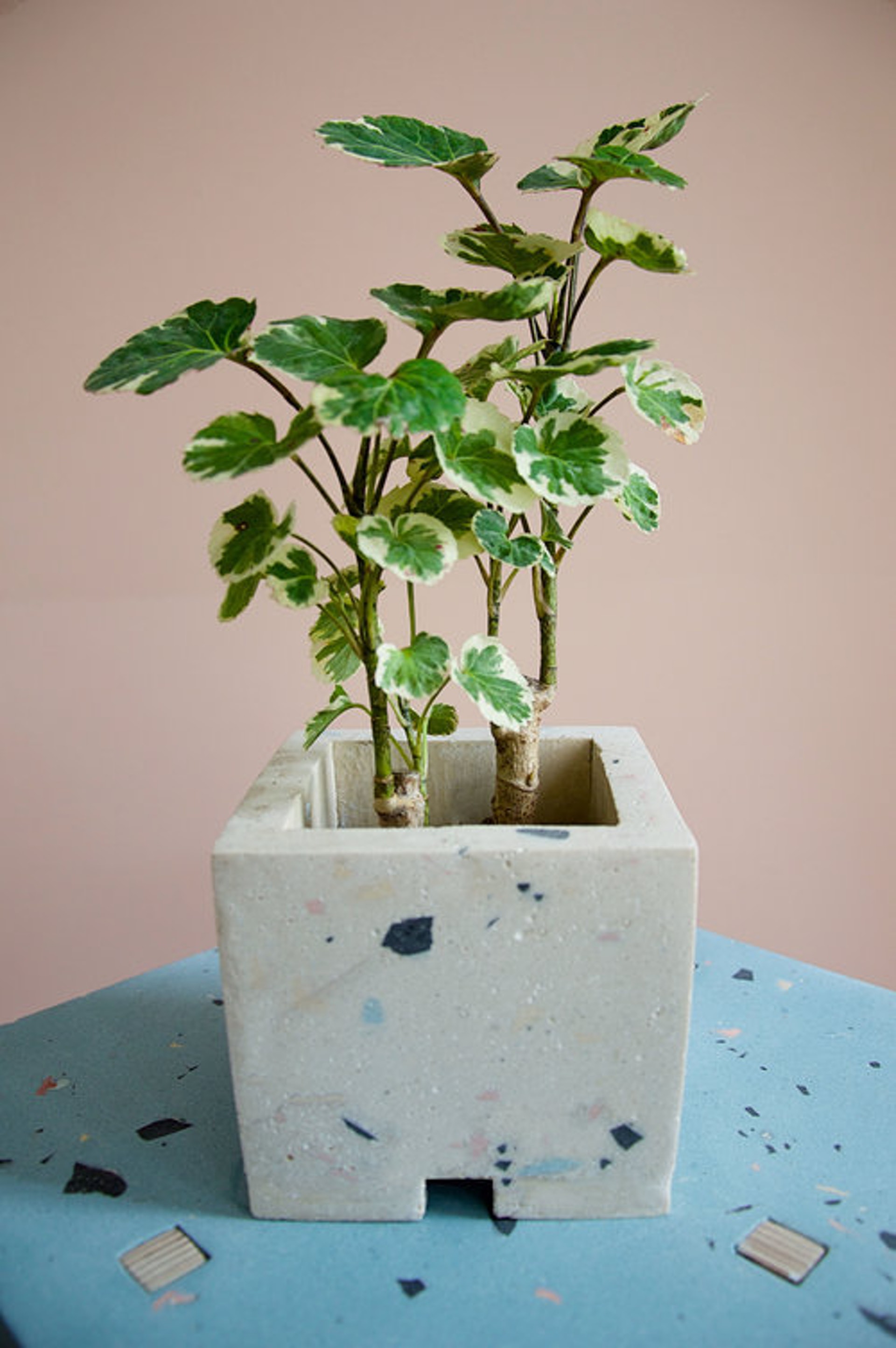 Home furniture，product design，Table，chair，Pot picking，