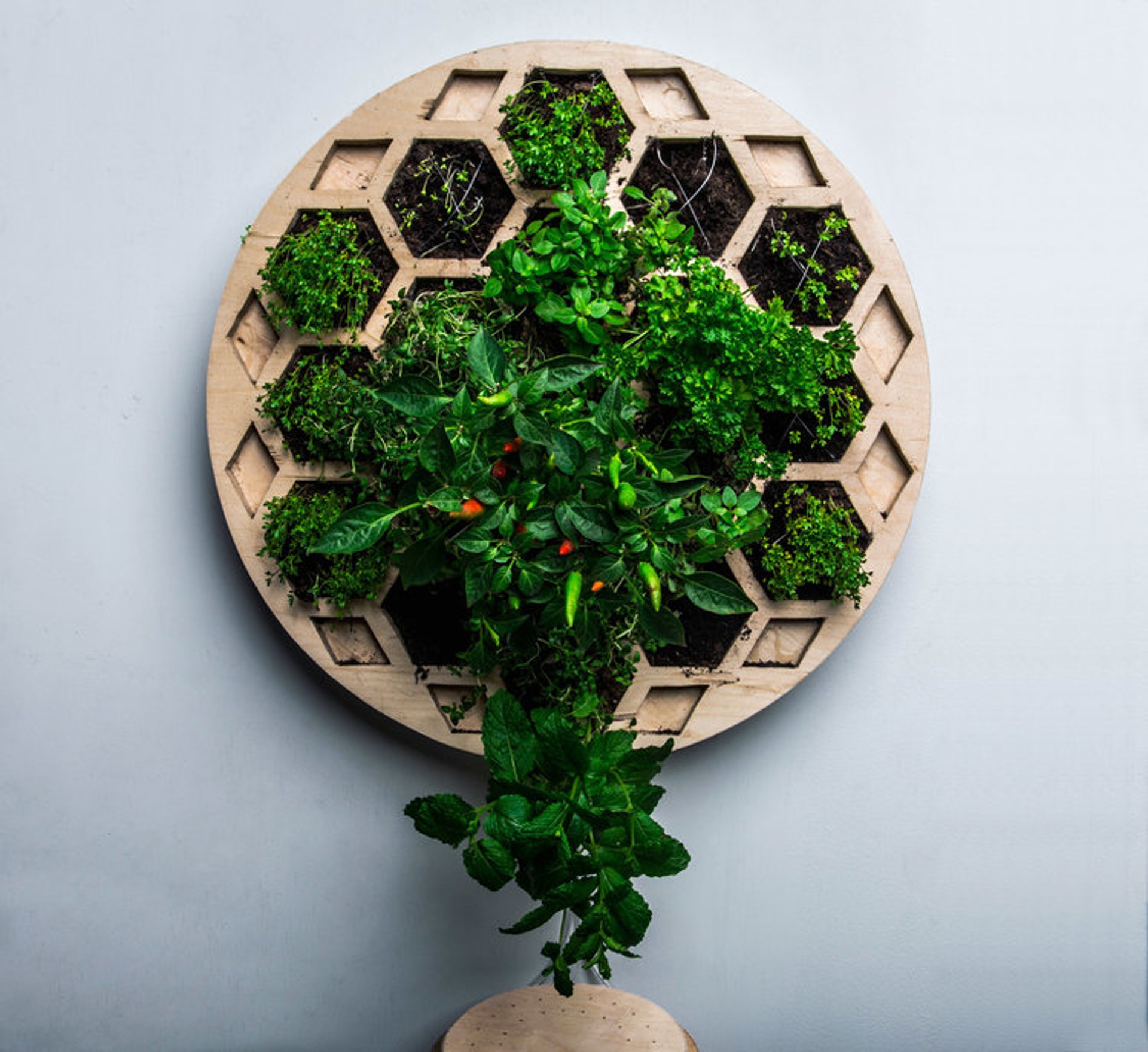 Home furniture，product design，Table，chair，Pot picking，