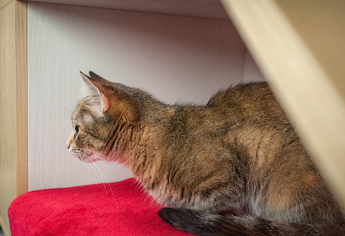 product design，bedside cupboard，D＆C，