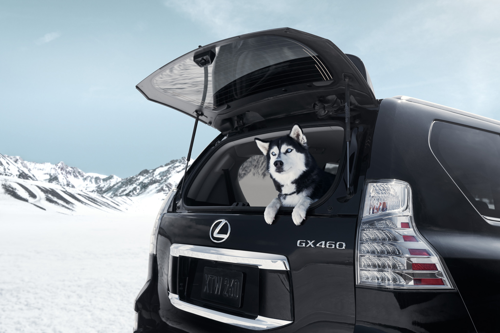 vehicle，industrial design，concise，Model，LEXUS，Lexus，