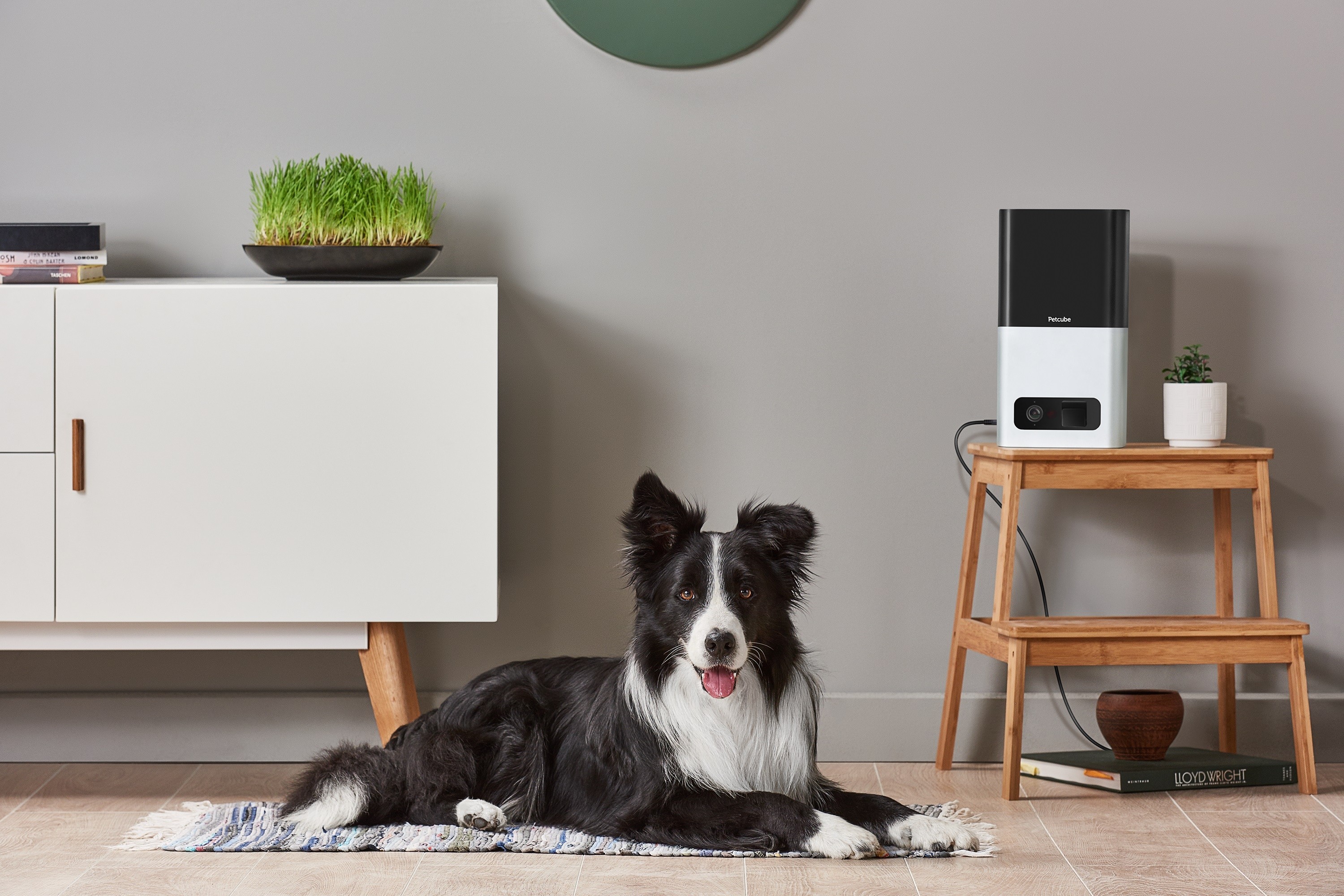 2018 red dot award，Small cube，Surveillance camera，