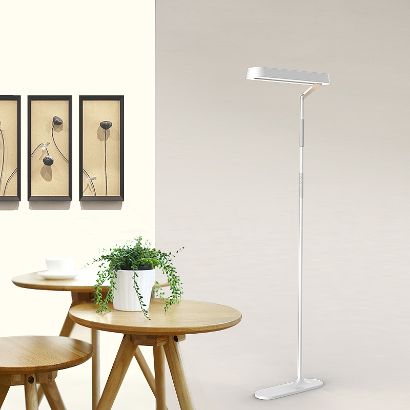 Floor lamp, household, lamp，