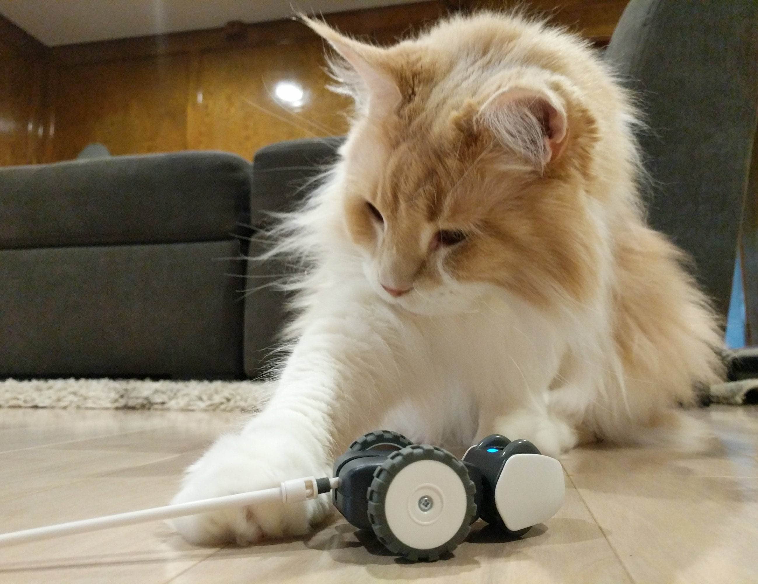 Petronics Mousr，Toys，Automatic design，