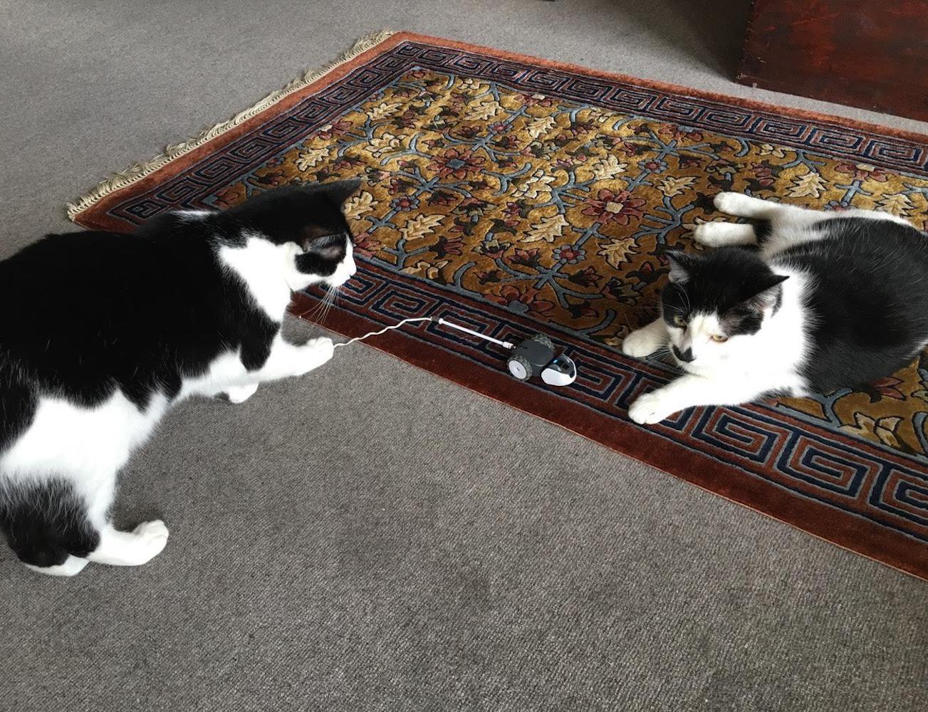 Petronics Mousr，Toys，Automatic design，