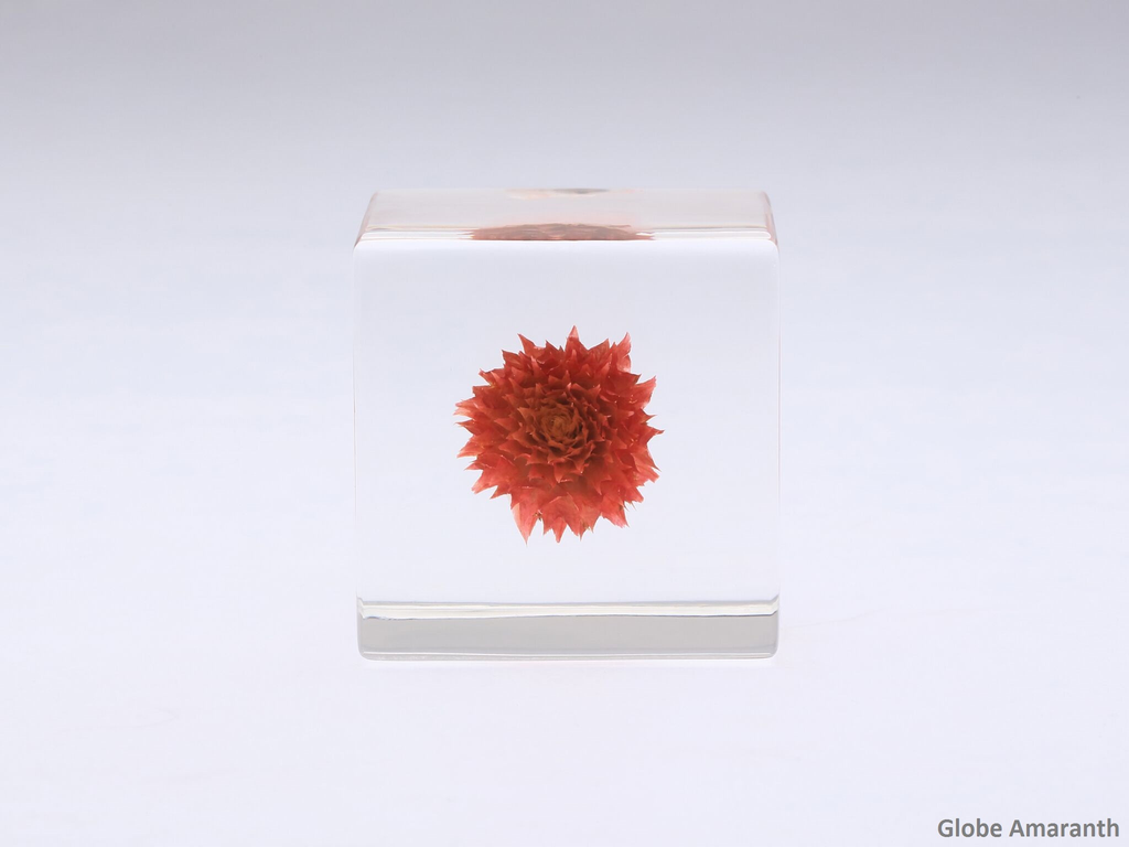 natural，Botany，Made in Japan，Sola Cube，