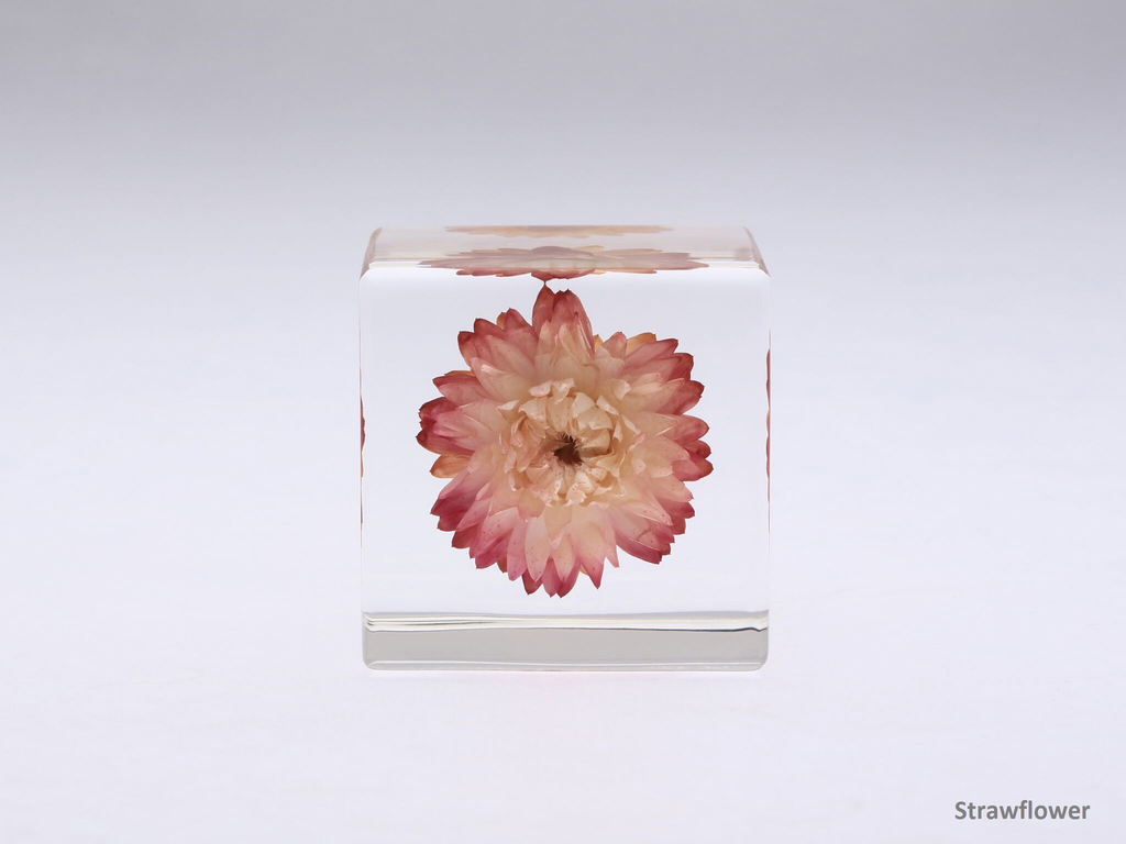 natural，Botany，Made in Japan，Sola Cube，