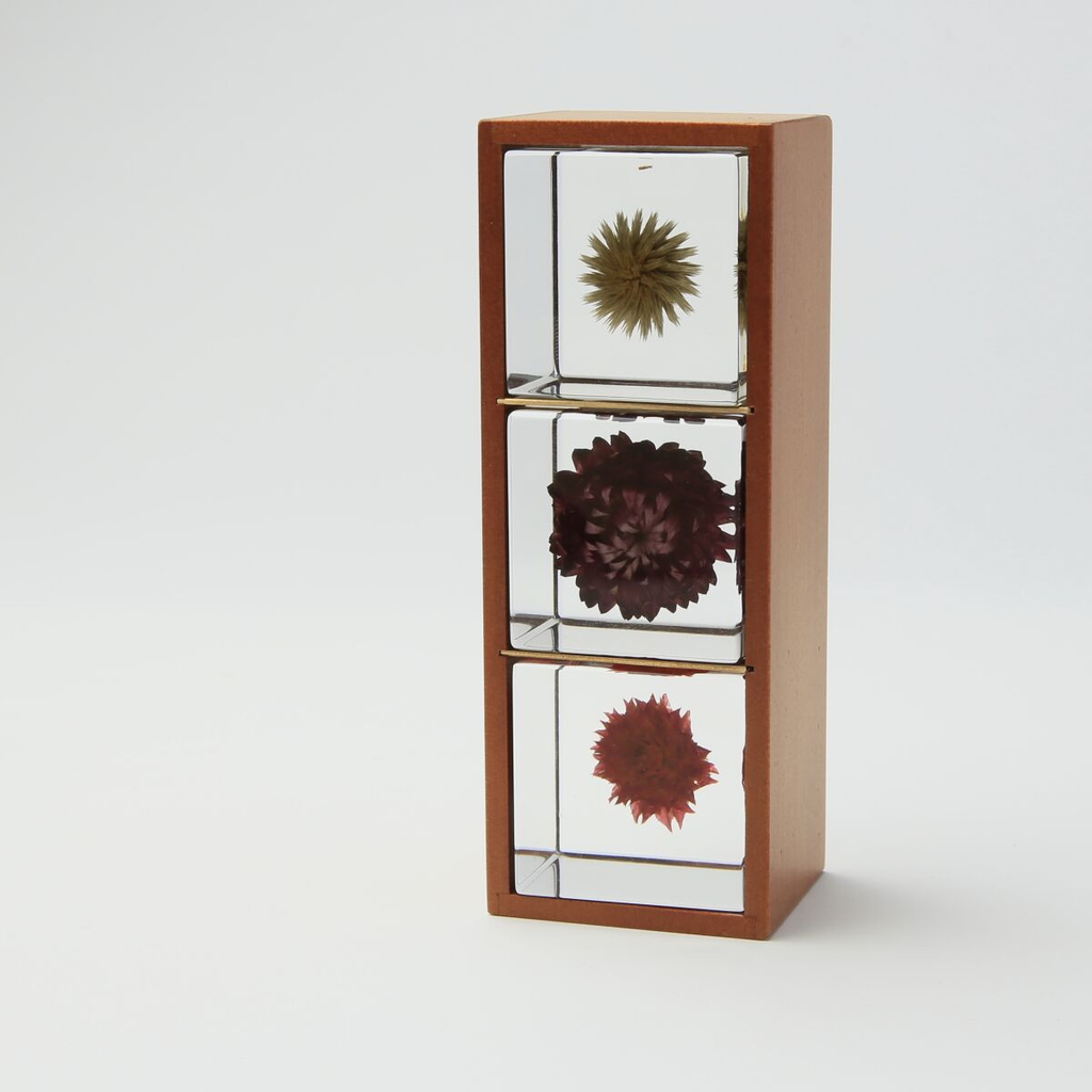 natural，Botany，Made in Japan，Sola Cube，