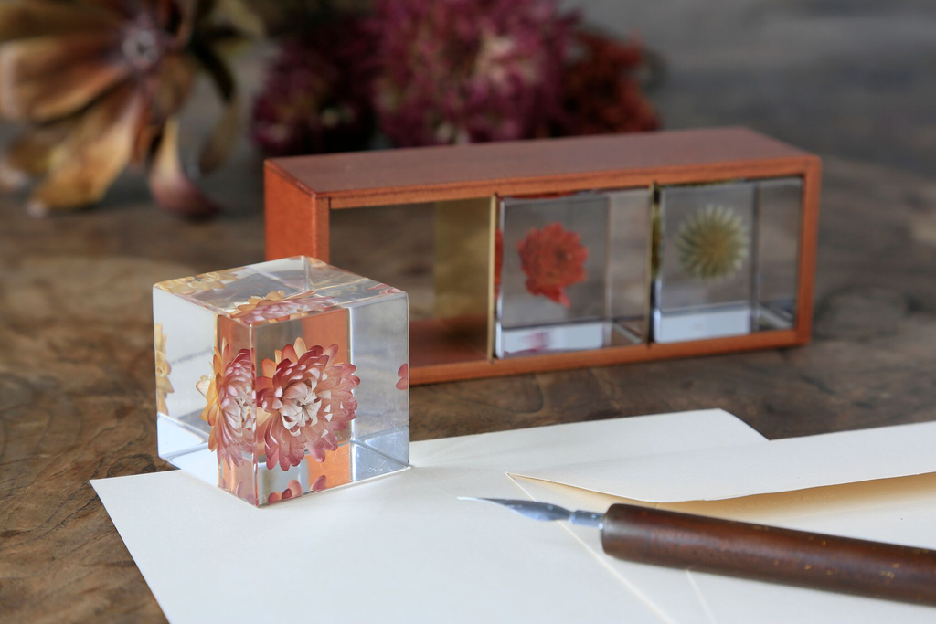 natural，Botany，Made in Japan，Sola Cube，