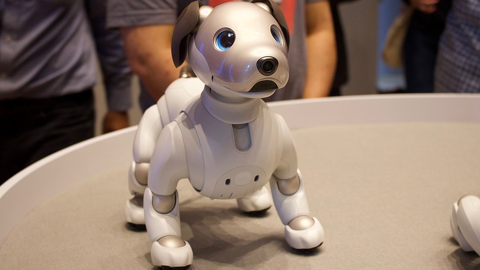 2018 red dot award，aibo，Entertainment Robot，sony，Sony，