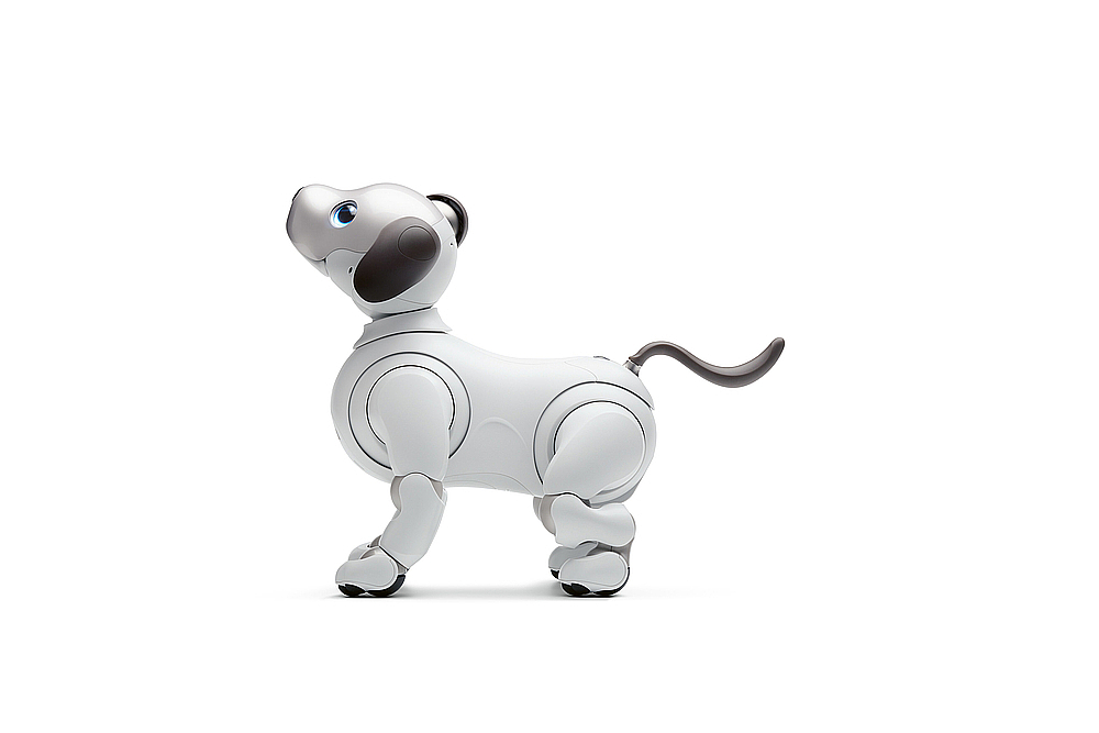 2018 red dot award，aibo，Entertainment Robot，sony，Sony，