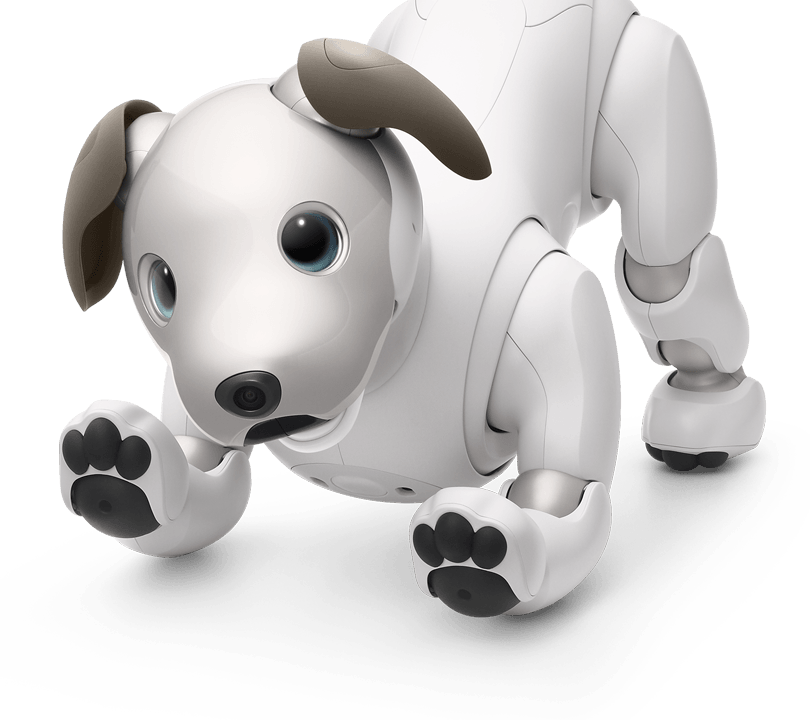 2018 red dot award，aibo，Entertainment Robot，sony，Sony，