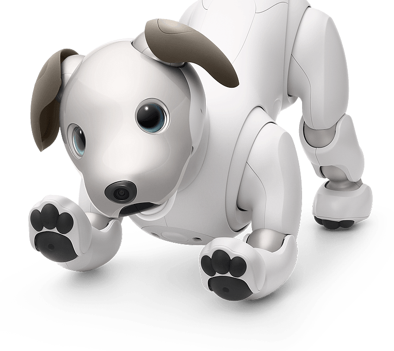 2018 red dot award，aibo，Entertainment Robot，sony，Sony，