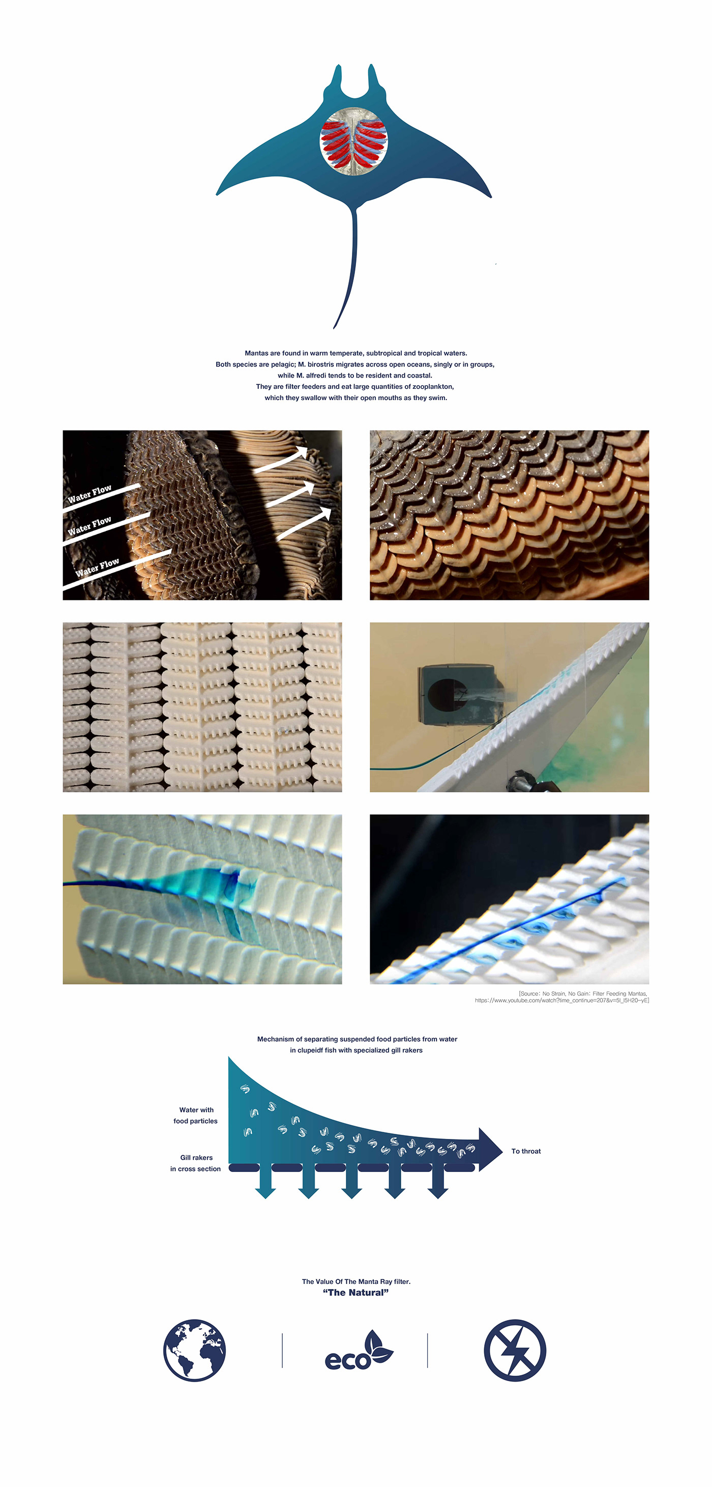 garbage，manta，ocean，Surf board，sketch，environment protection，