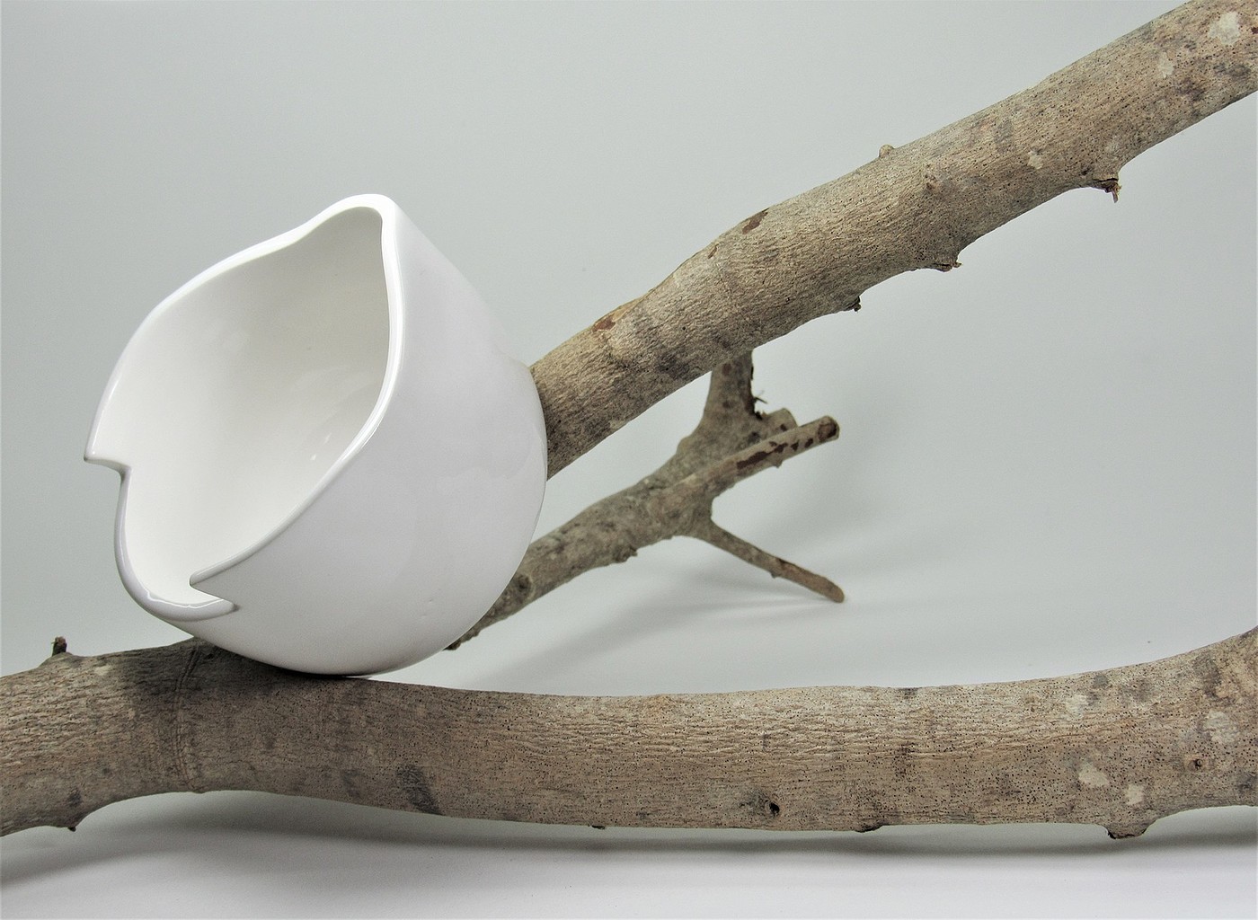 Bionics Design ，ceramics，tableware，