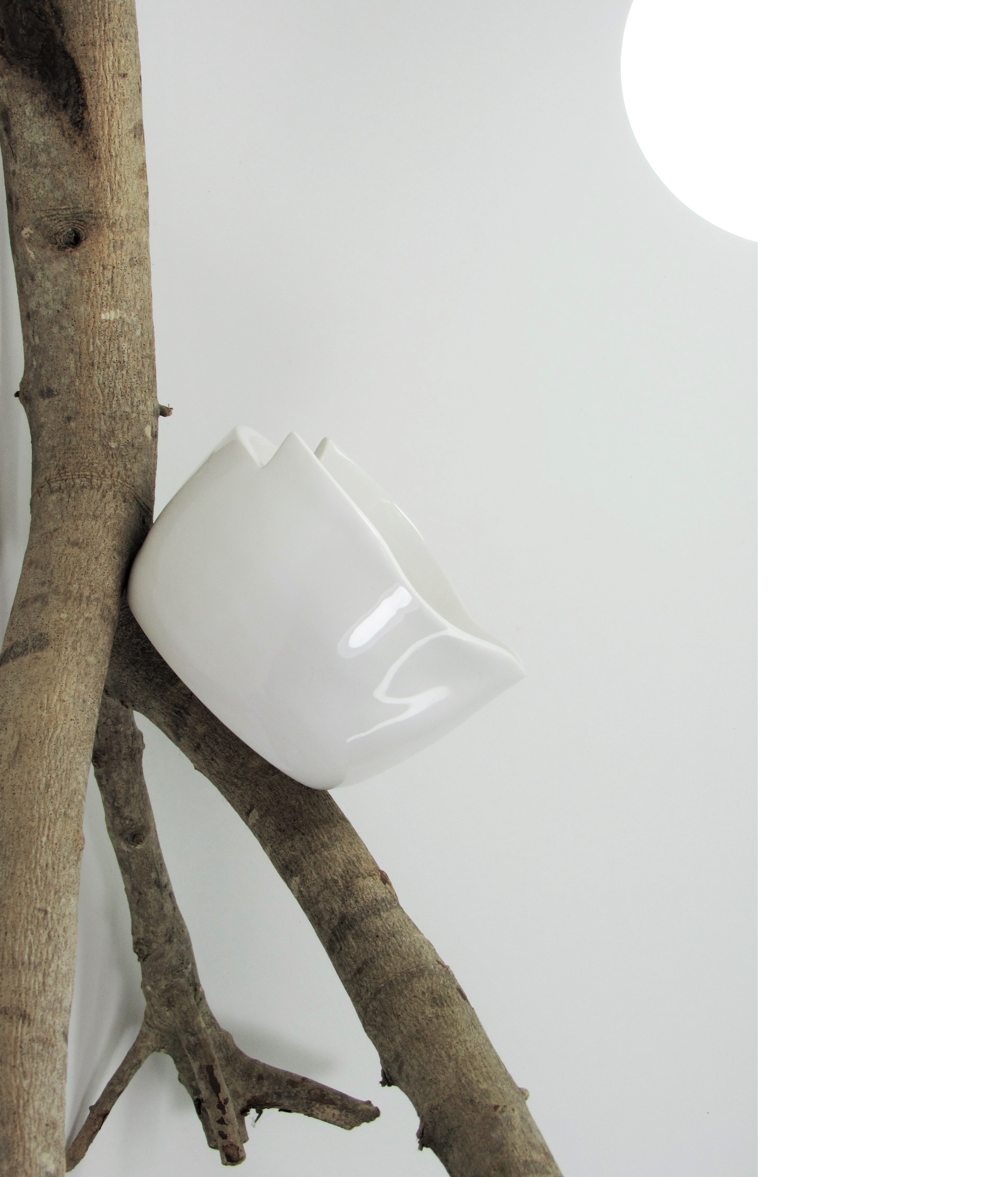 Bionics Design ，ceramics，tableware，