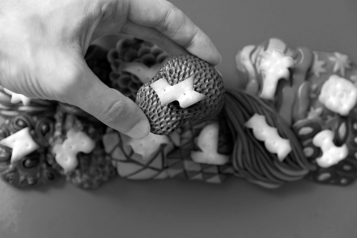 Sea Cruise，biscuit，packing design，