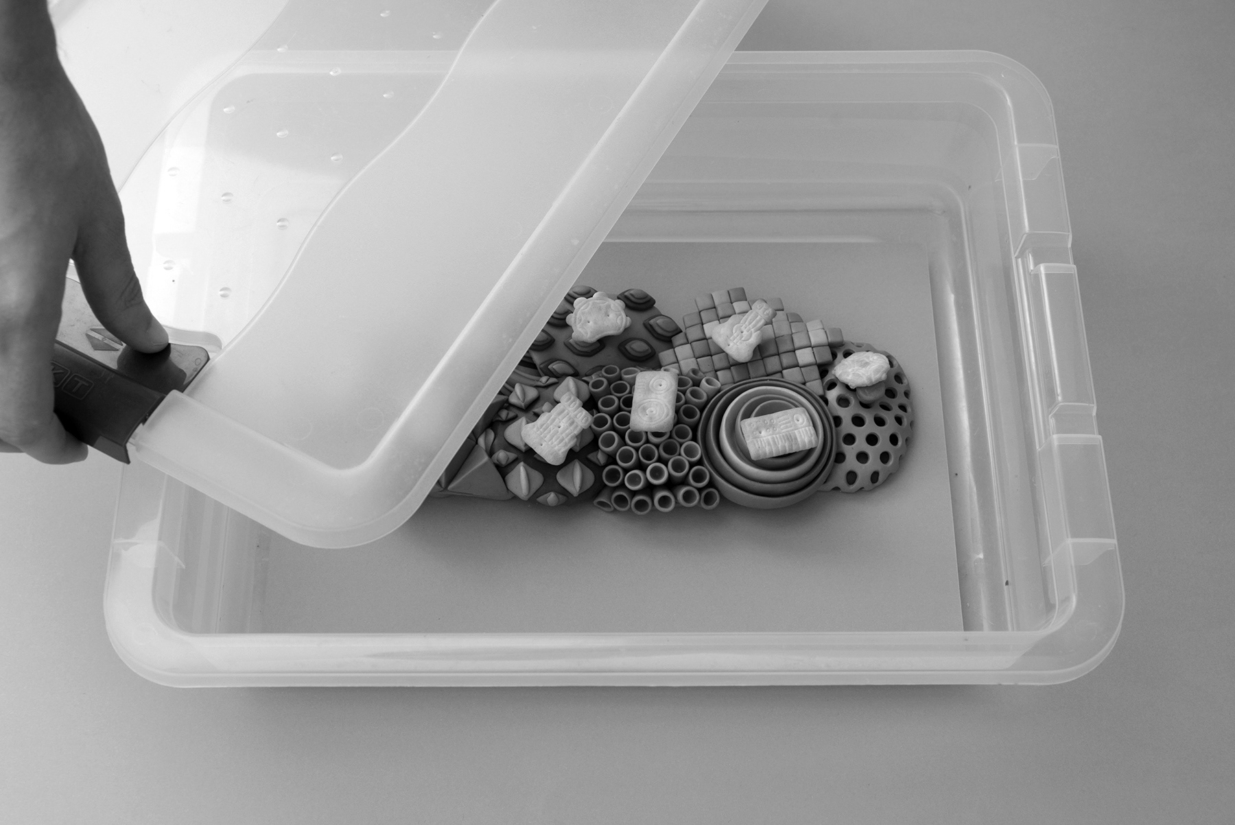 Sea Cruise，biscuit，packing design，