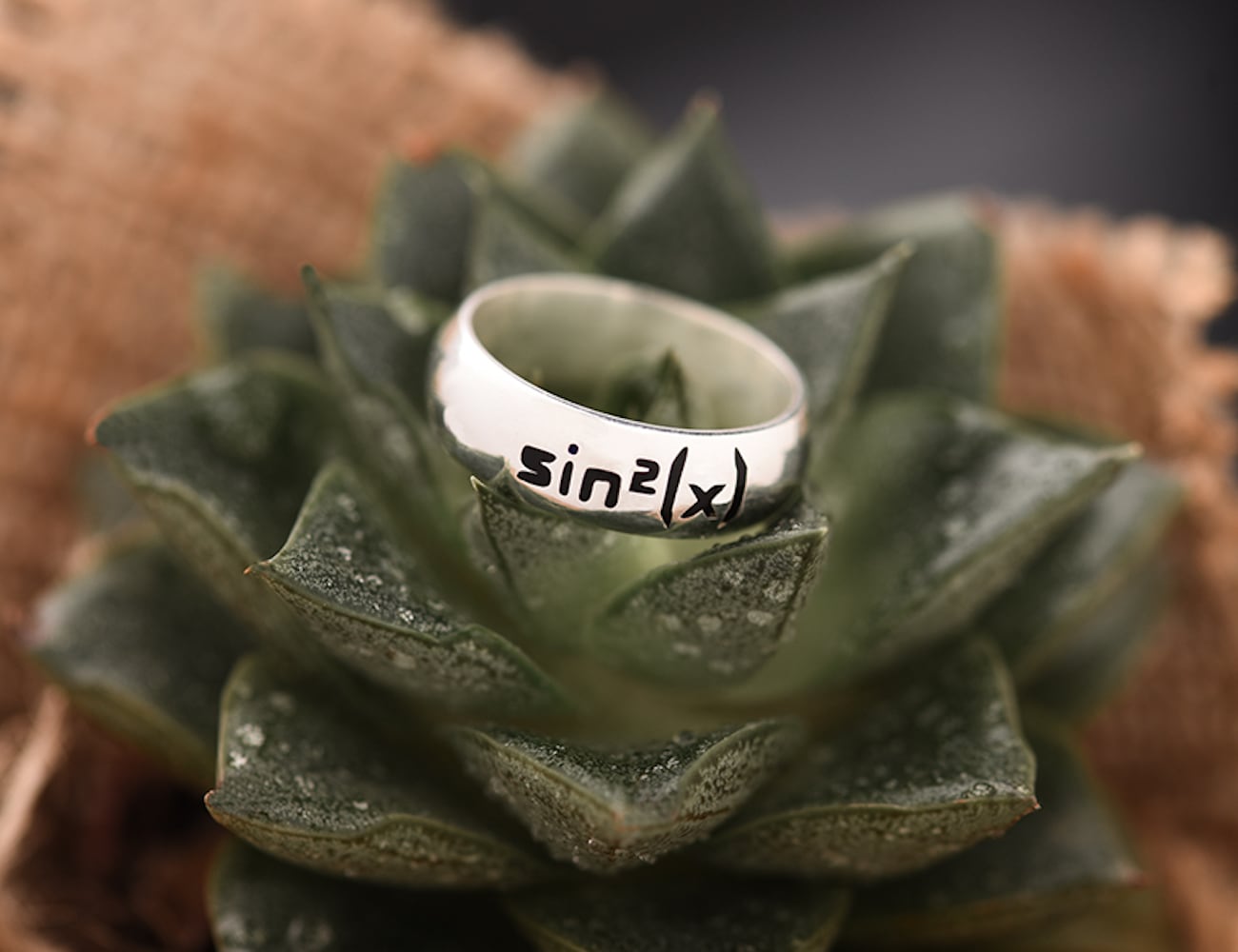 Metal，Ring，Viva Ring，