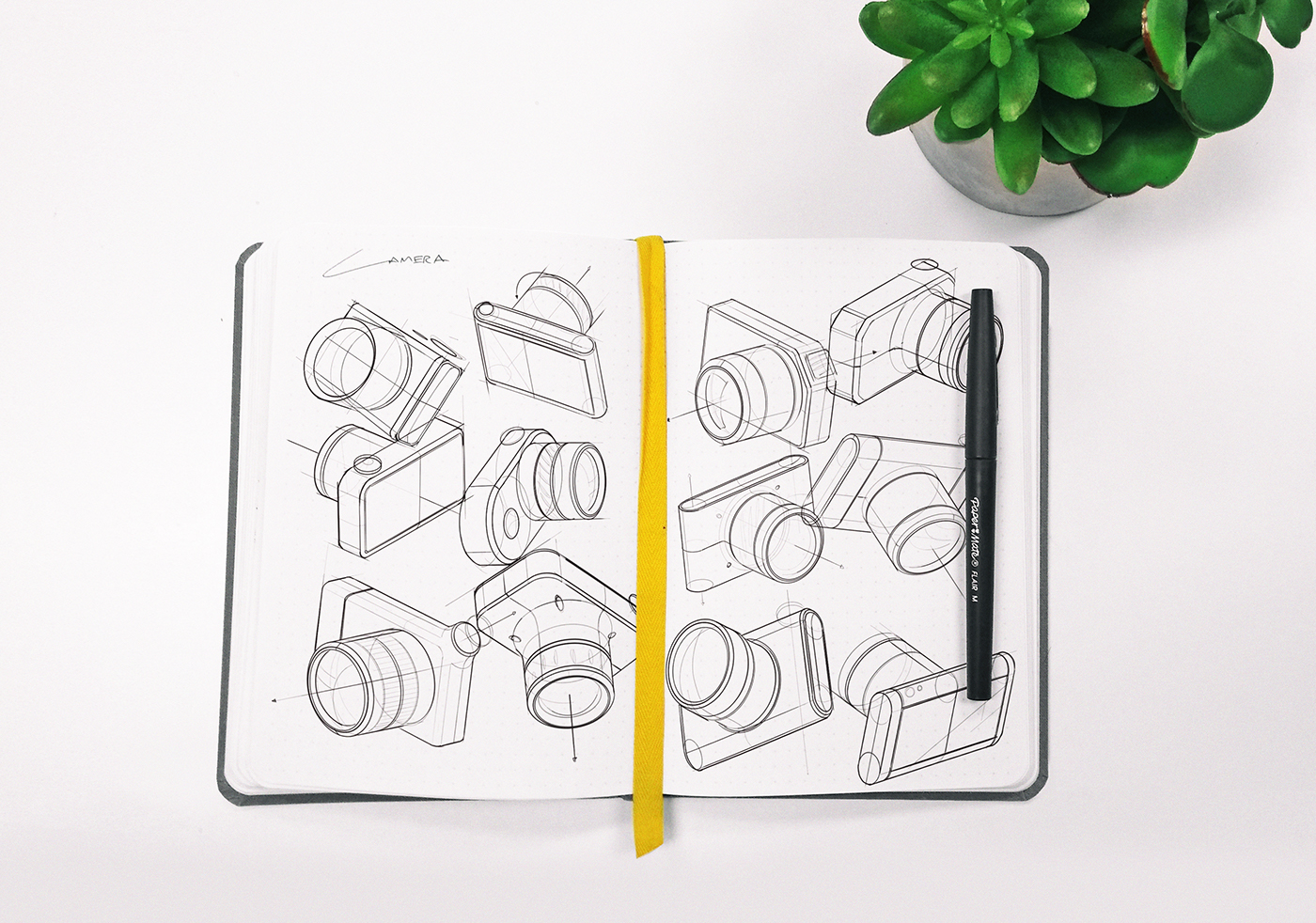 sketch，intelligence，Digital，Lytro Volume，camera，