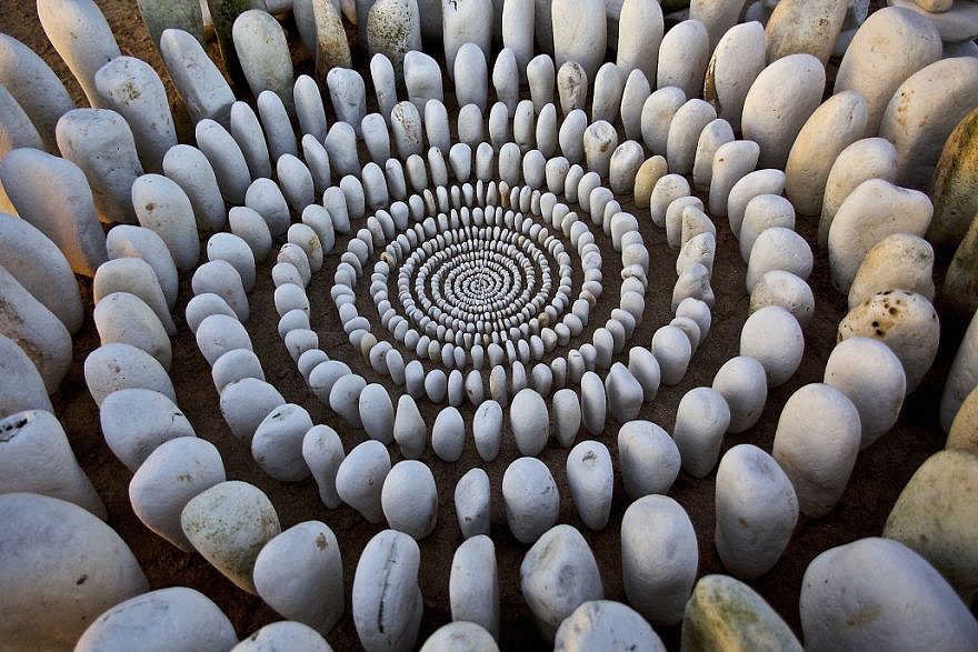 color，Gradual change，rivers，cobblestone，Bionics Design ，shell，Irregular graphics，stone，branch，leaf，nature，