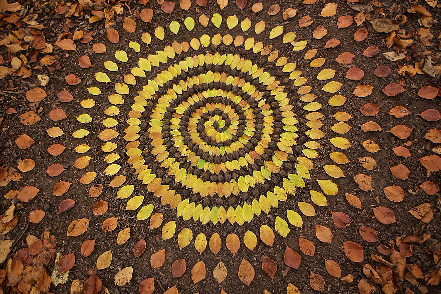 color，Gradual change，rivers，cobblestone，Bionics Design ，shell，Irregular graphics，stone，branch，leaf，nature，