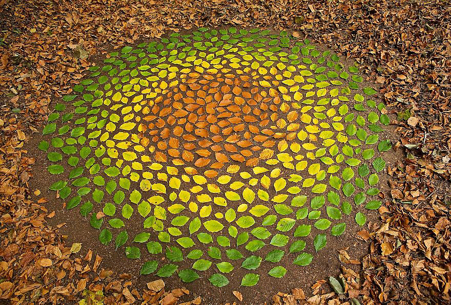 color，Gradual change，rivers，cobblestone，Bionics Design ，shell，Irregular graphics，stone，branch，leaf，nature，