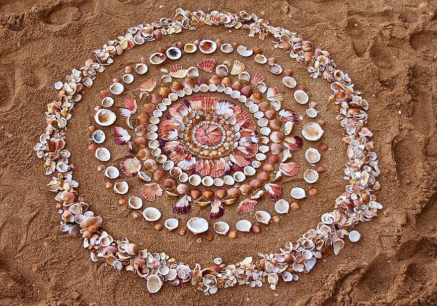 color，Gradual change，rivers，cobblestone，Bionics Design ，shell，Irregular graphics，stone，branch，leaf，nature，