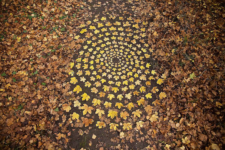 color，Gradual change，rivers，cobblestone，Bionics Design ，shell，Irregular graphics，stone，branch，leaf，nature，
