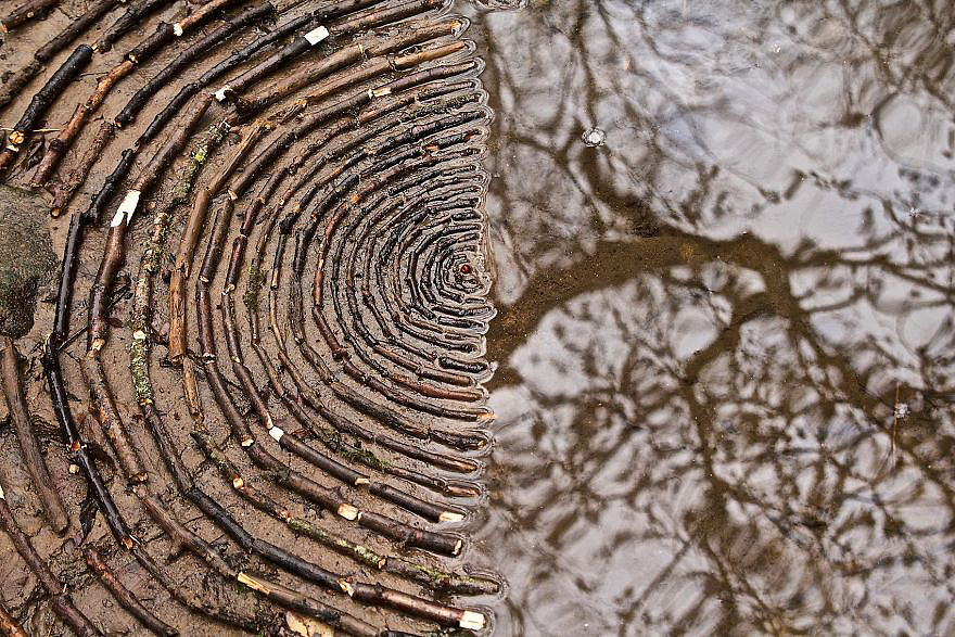 color，Gradual change，rivers，cobblestone，Bionics Design ，shell，Irregular graphics，stone，branch，leaf，nature，