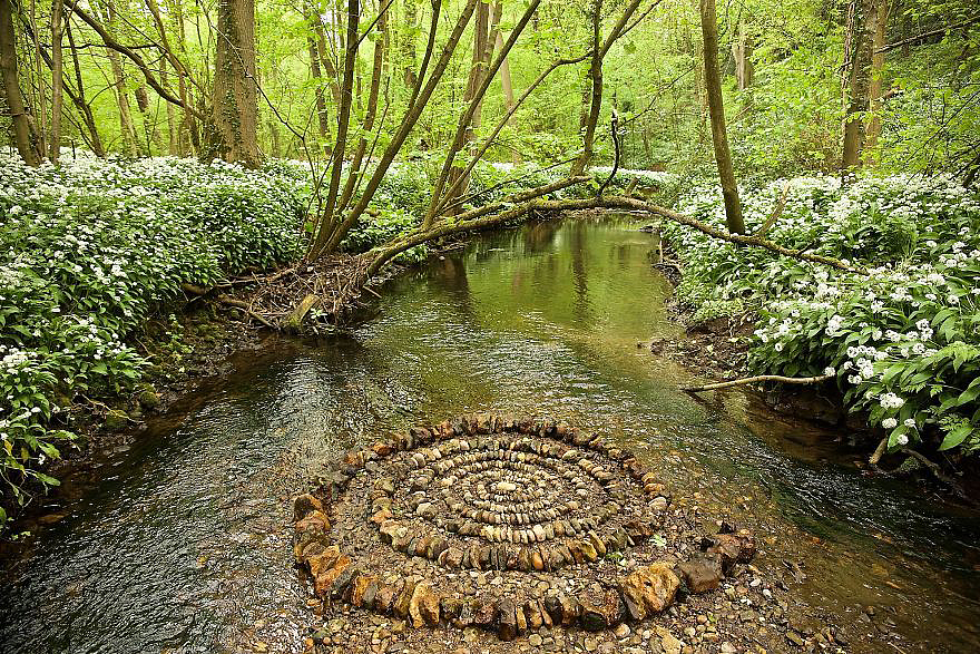 color，Gradual change，rivers，cobblestone，Bionics Design ，shell，Irregular graphics，stone，branch，leaf，nature，