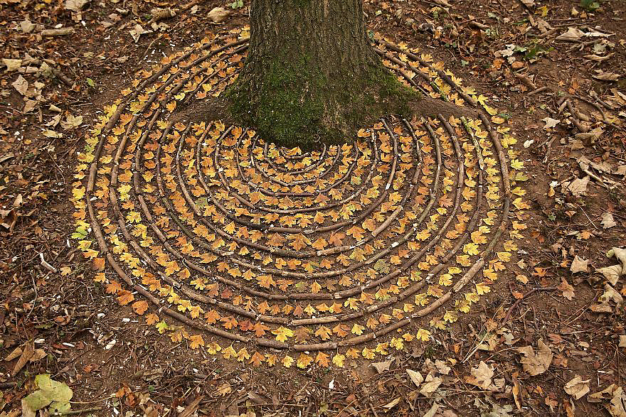 color，Gradual change，rivers，cobblestone，Bionics Design ，shell，Irregular graphics，stone，branch，leaf，nature，