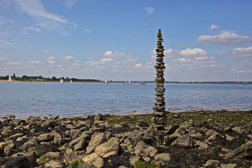 color，Gradual change，rivers，cobblestone，Bionics Design ，shell，Irregular graphics，stone，branch，leaf，nature，