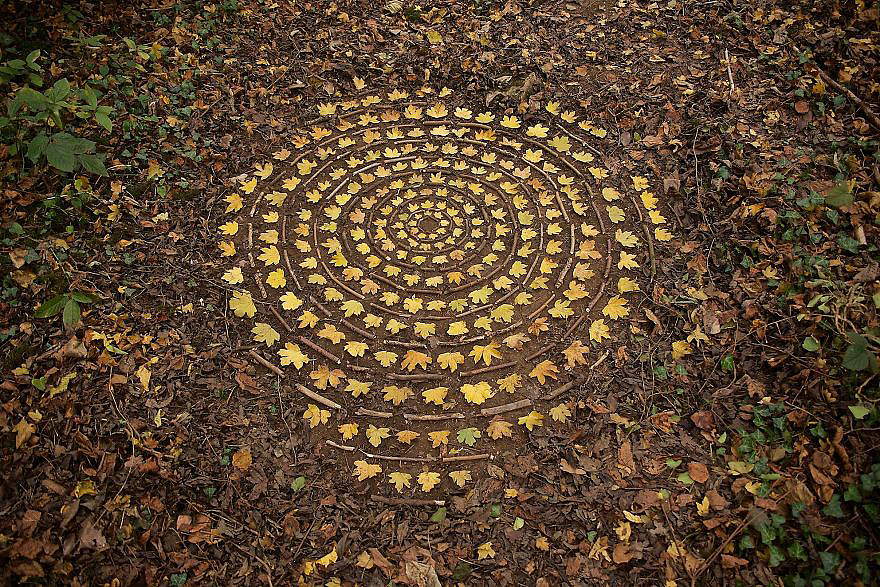 color，Gradual change，rivers，cobblestone，Bionics Design ，shell，Irregular graphics，stone，branch，leaf，nature，