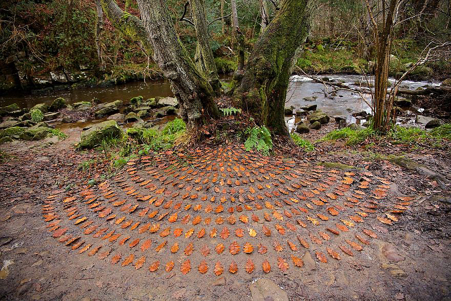 color，Gradual change，rivers，cobblestone，Bionics Design ，shell，Irregular graphics，stone，branch，leaf，nature，