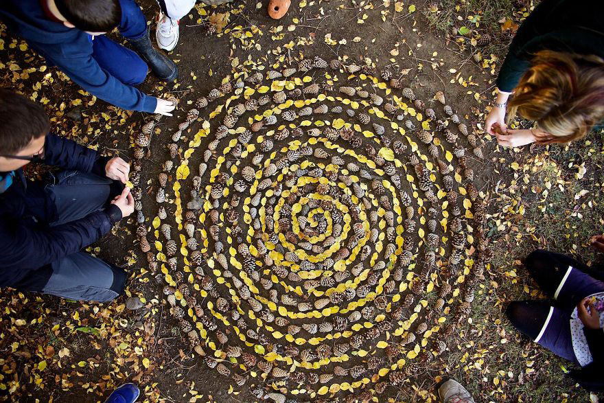 color，Gradual change，rivers，cobblestone，Bionics Design ，shell，Irregular graphics，stone，branch，leaf，nature，