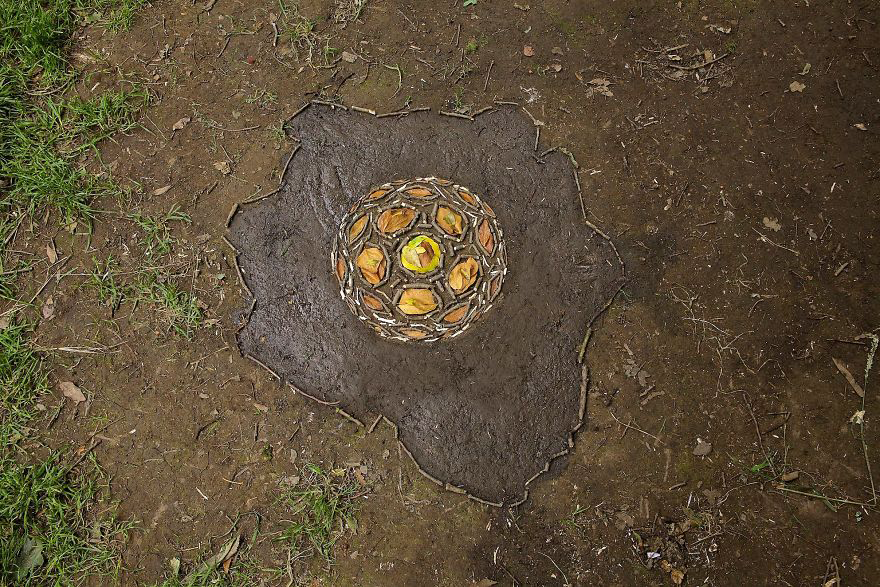 color，Gradual change，rivers，cobblestone，Bionics Design ，shell，Irregular graphics，stone，branch，leaf，nature，