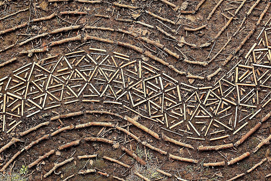 color，Gradual change，rivers，cobblestone，Bionics Design ，shell，Irregular graphics，stone，branch，leaf，nature，