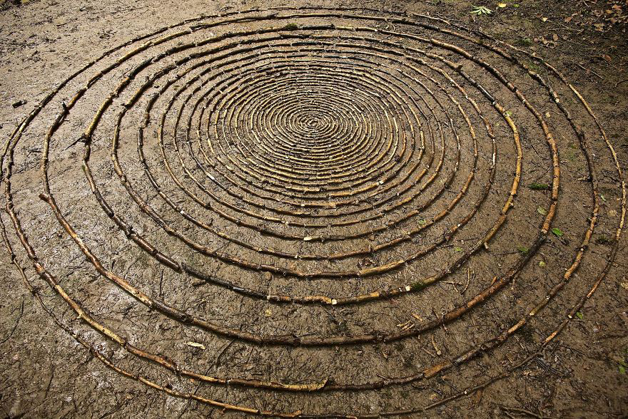 color，Gradual change，rivers，cobblestone，Bionics Design ，shell，Irregular graphics，stone，branch，leaf，nature，