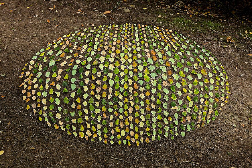 color，Gradual change，rivers，cobblestone，Bionics Design ，shell，Irregular graphics，stone，branch，leaf，nature，
