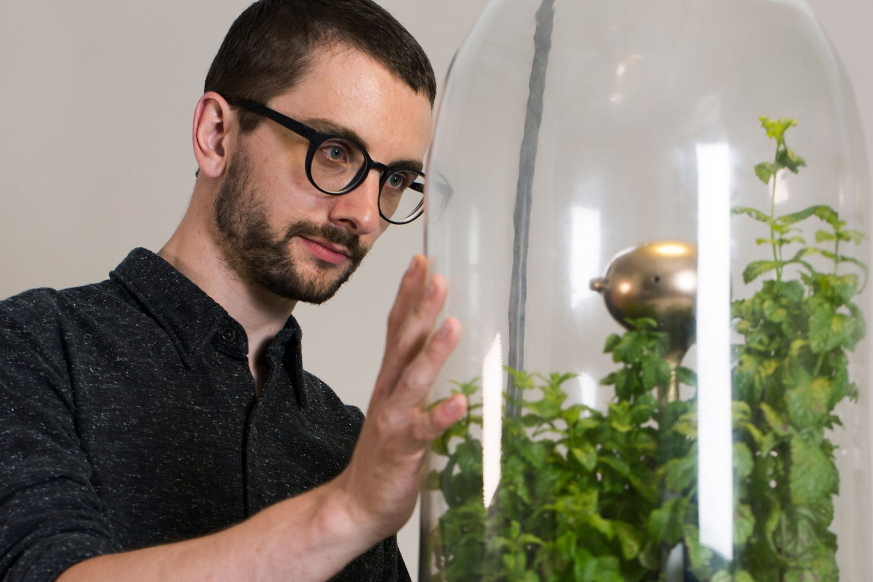 Botany，Glass，filter，Water purifier，Drop by Drop，