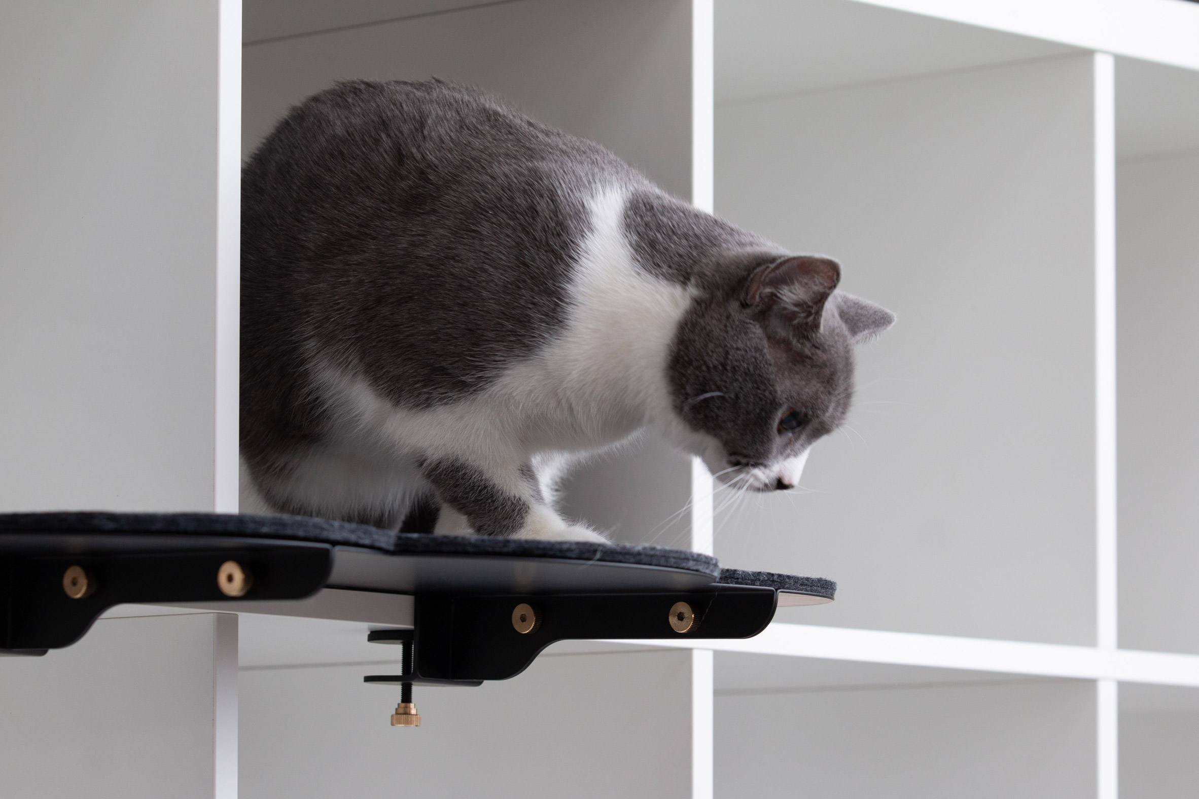 Catssup，Modular design，furniture，Pet furniture，Pet home，