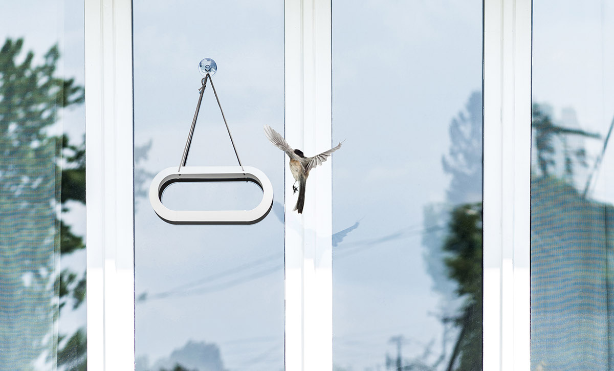outdoors，Feeder，bird feede，frame，Bird，
