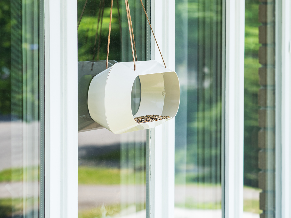 outdoors，Feeder，bird feede，frame，Bird，