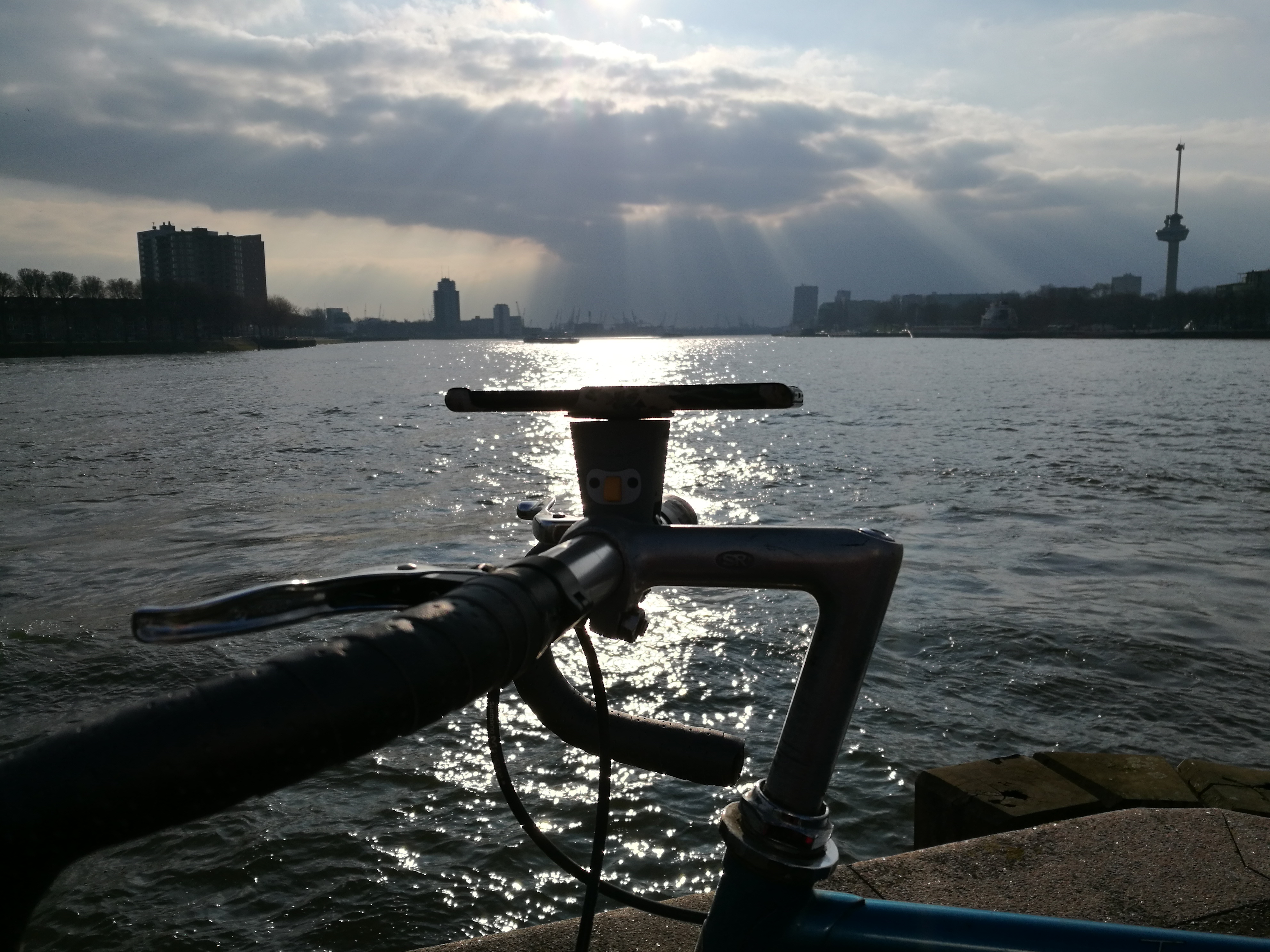 Owlstand，Mobile phone bracket，Digital accessories，2018 red dot award，