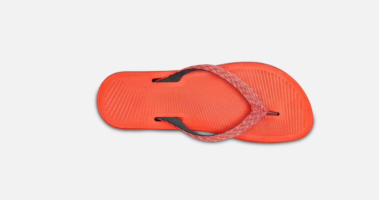 flip flops，environment protection，pinkycolor ，Allbirds，