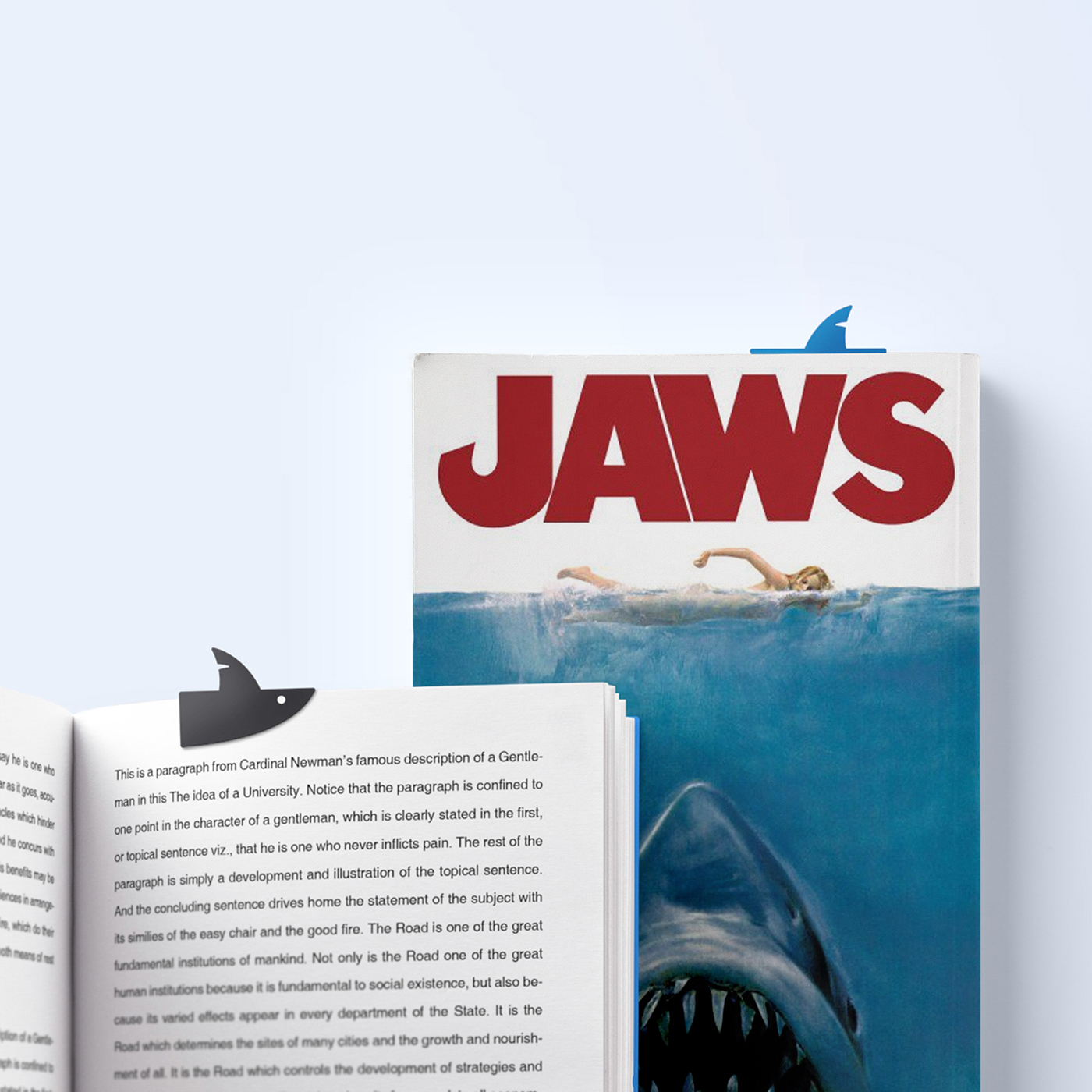 bookmark，blue，packing design，