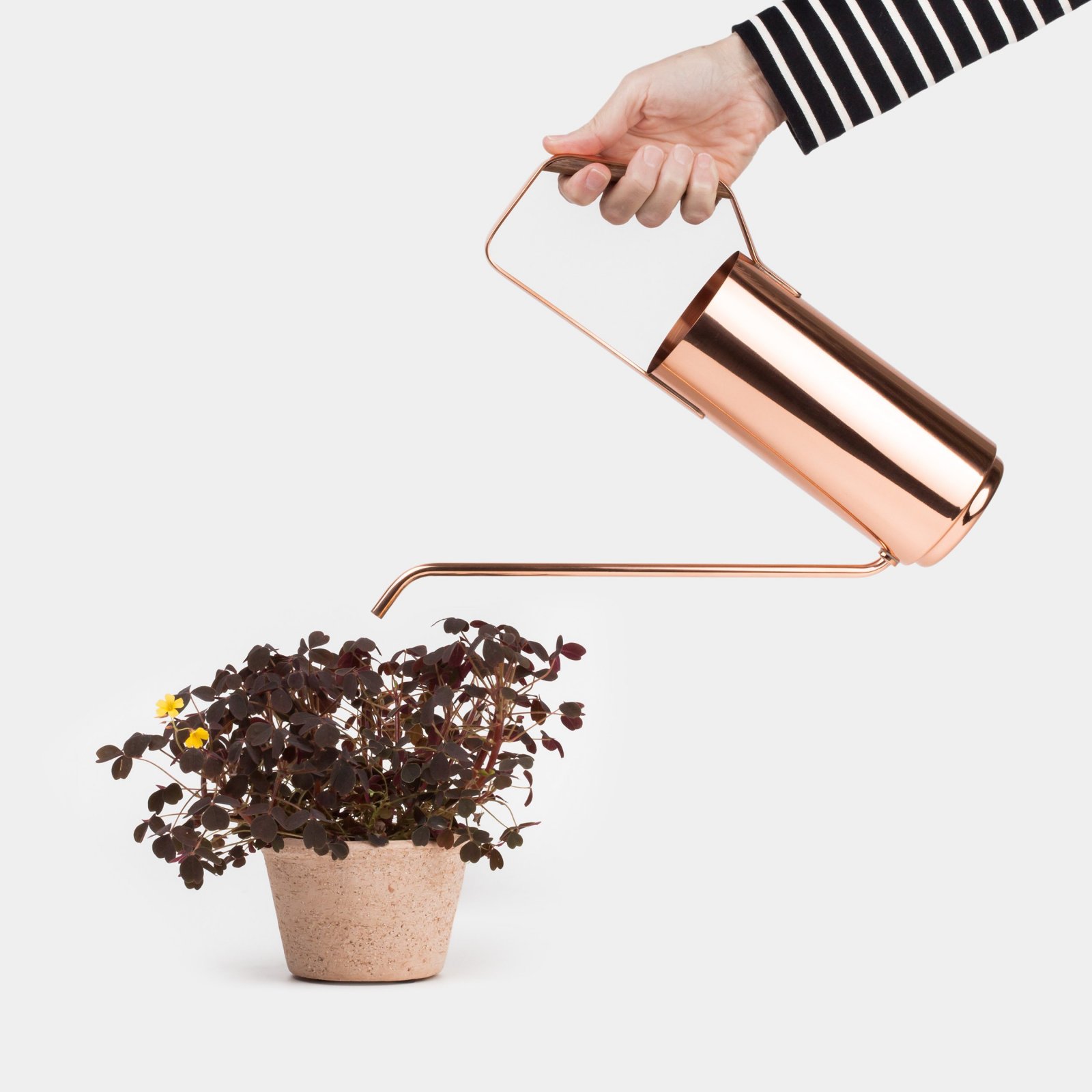 product design，Housewear & Furnishings，Watering can，Kaenjusai，