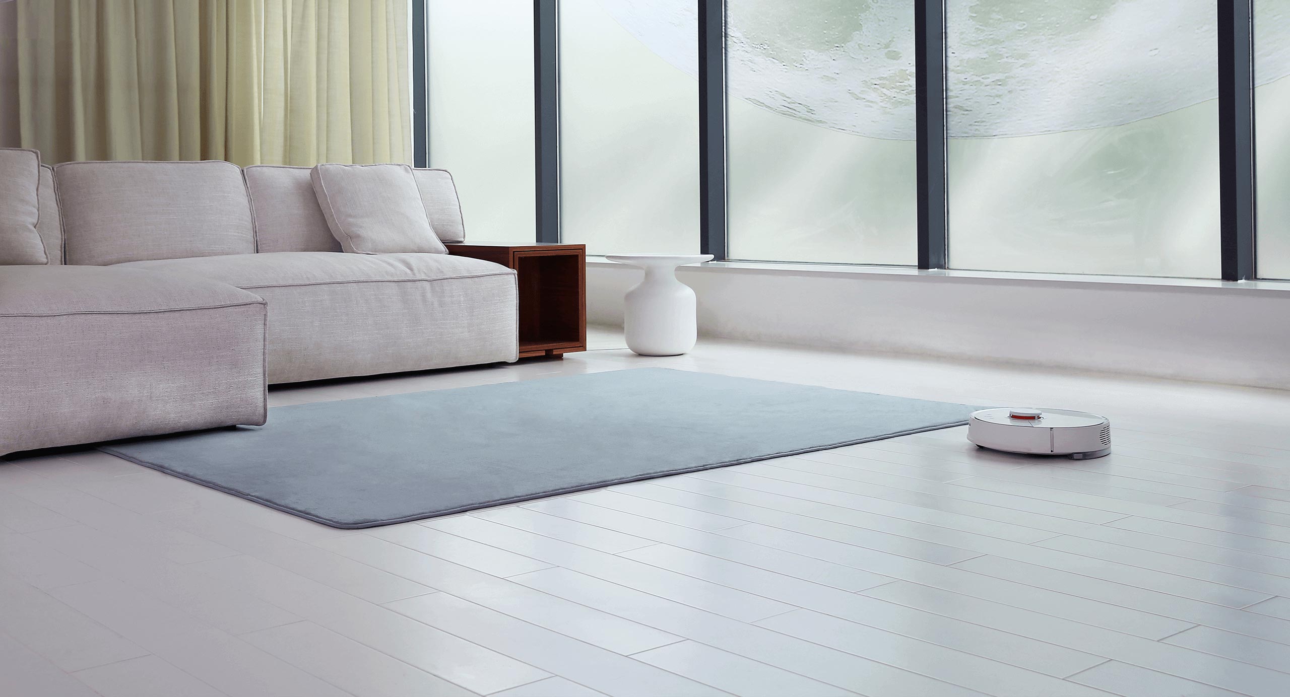 millet，Stone sweeping robot，General image evaluation，